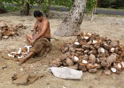 0217_IMG_2653_Raiatea.JPG