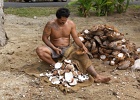 0218_IMG_2655_Raiatea.JPG