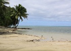 0221_IMG_2660_Raiatea.JPG