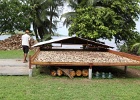 0228_IMG_2677_Raiatea.JPG