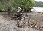 0249_IMG_2736_Raiatea.JPG