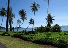 0323_IMG_1408_Raiatea.JPG