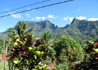 0327_IMG_1416_Raiatea.JPG