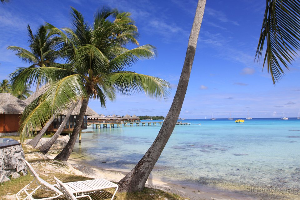0041 IMG 3218 Rangiroa
