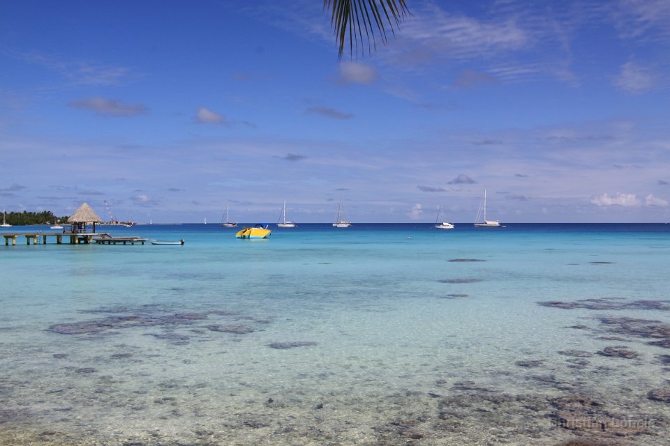 0042 IMG 3219 Rangiroa