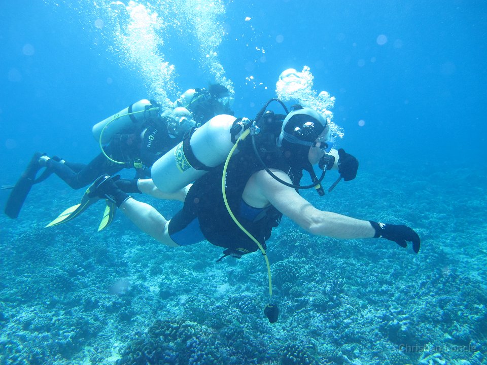 0090 IMG 1782 Rangiroa