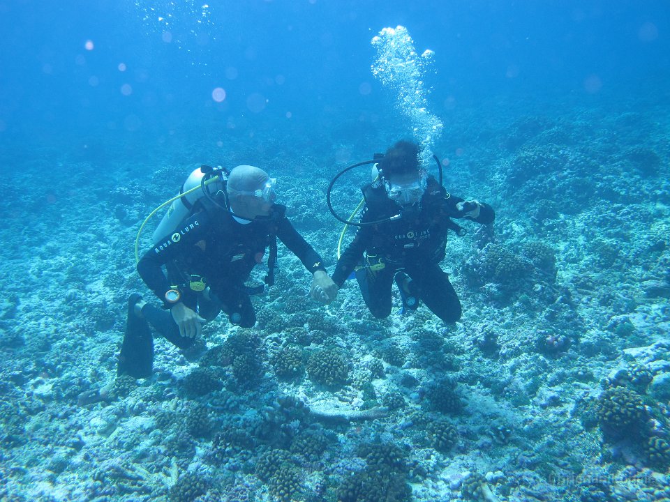 0091 IMG 1784 Rangiroa