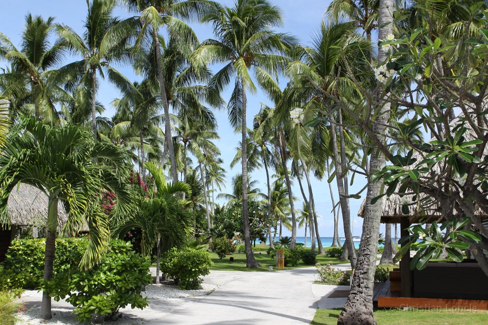 0104 IMG 3253 Rangiroa