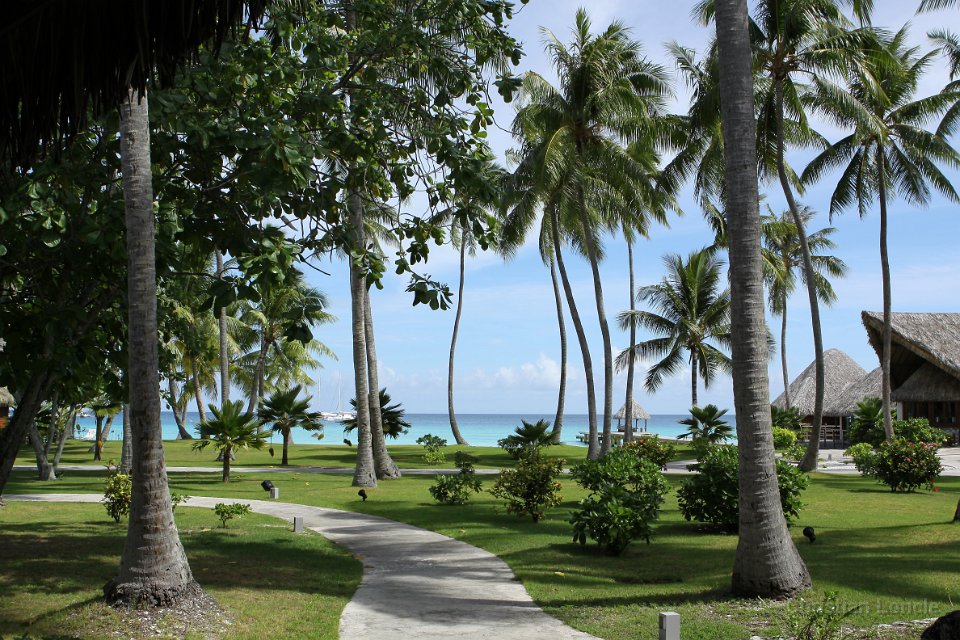 0106 IMG 3255 Rangiroa