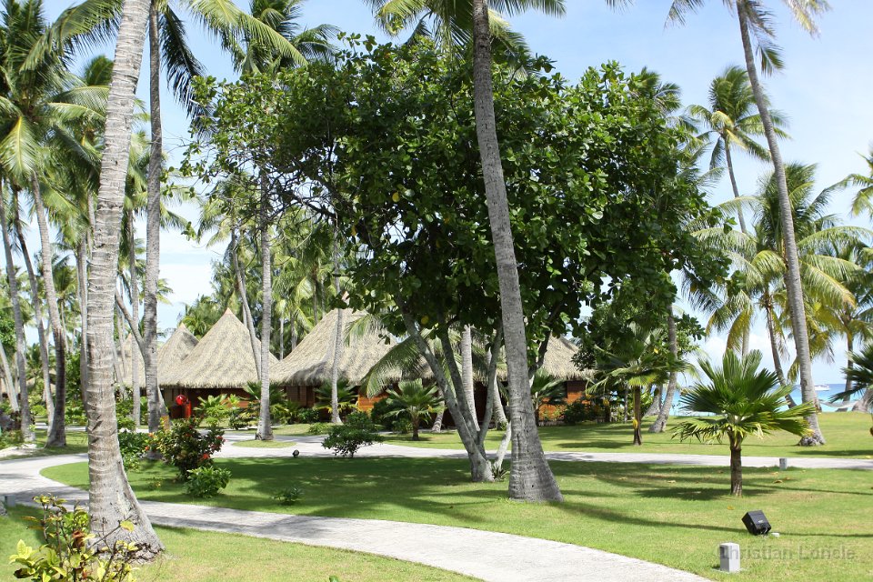 0107 IMG 3256 Rangiroa