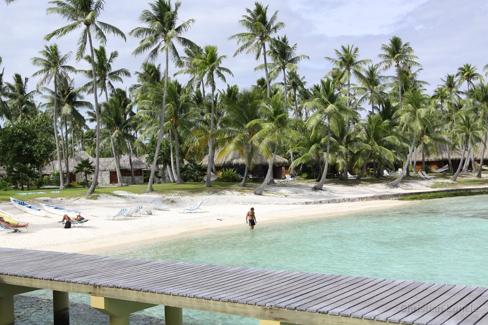0124 IMG 3277 Rangiroa