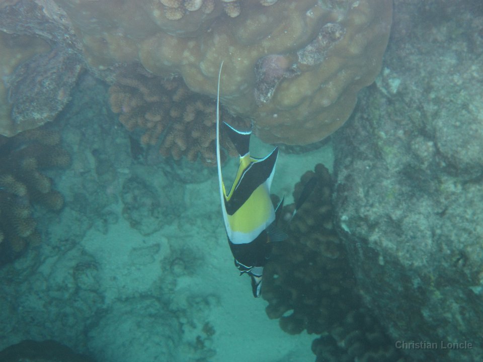 0179 IMG 1924 Rangiroa
