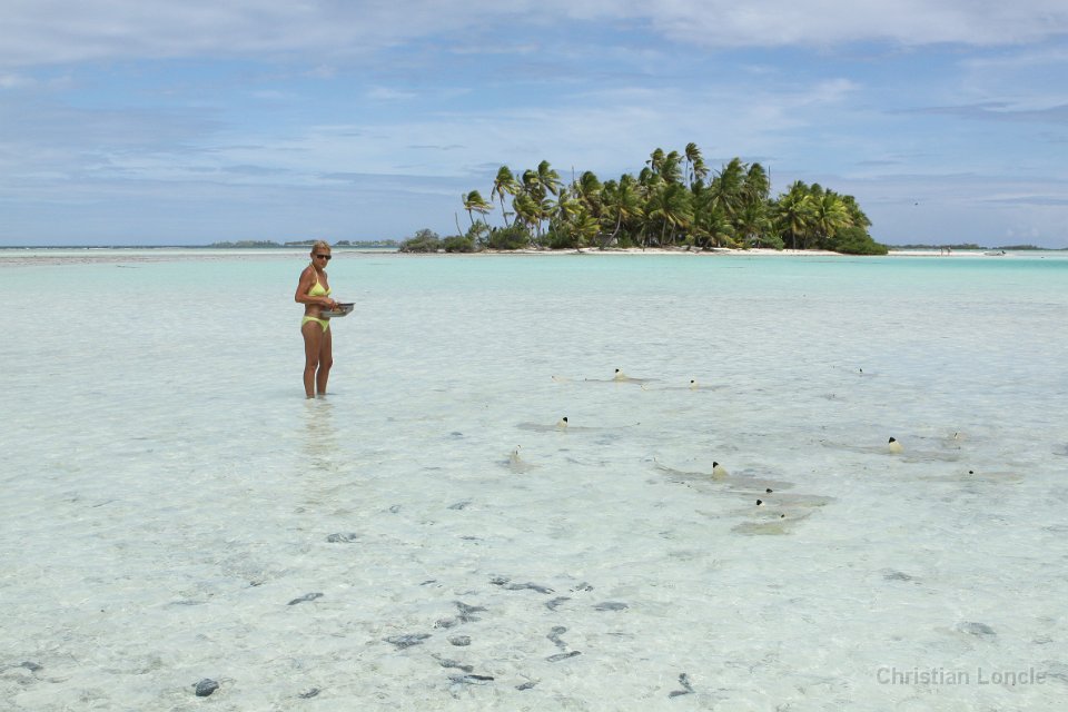 0207 IMG 3410 Rangiroa