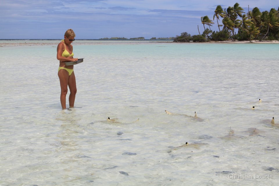 0208 IMG 3413 Rangiroa