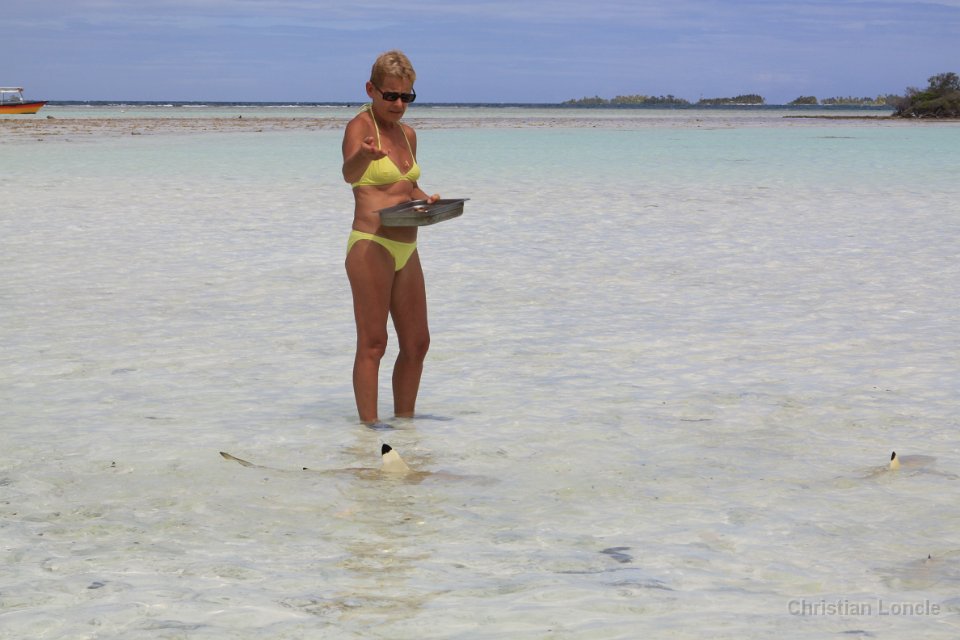 0209 IMG 3415 Rangiroa