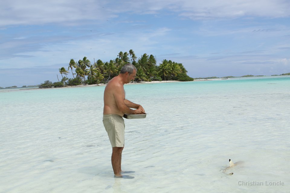 0211 IMG 3437 Rangiroa