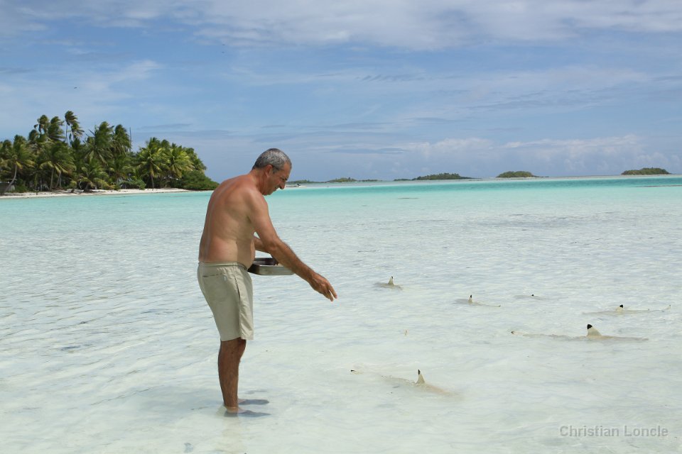 0213 IMG 3440 Rangiroa