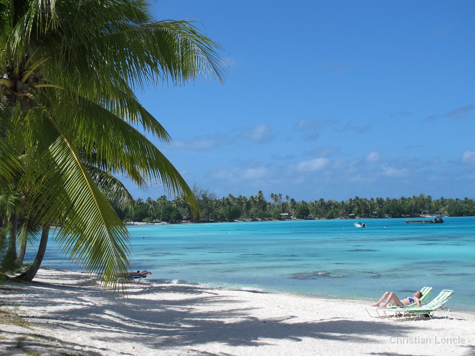 0231 IMG 1942 Rangiroa