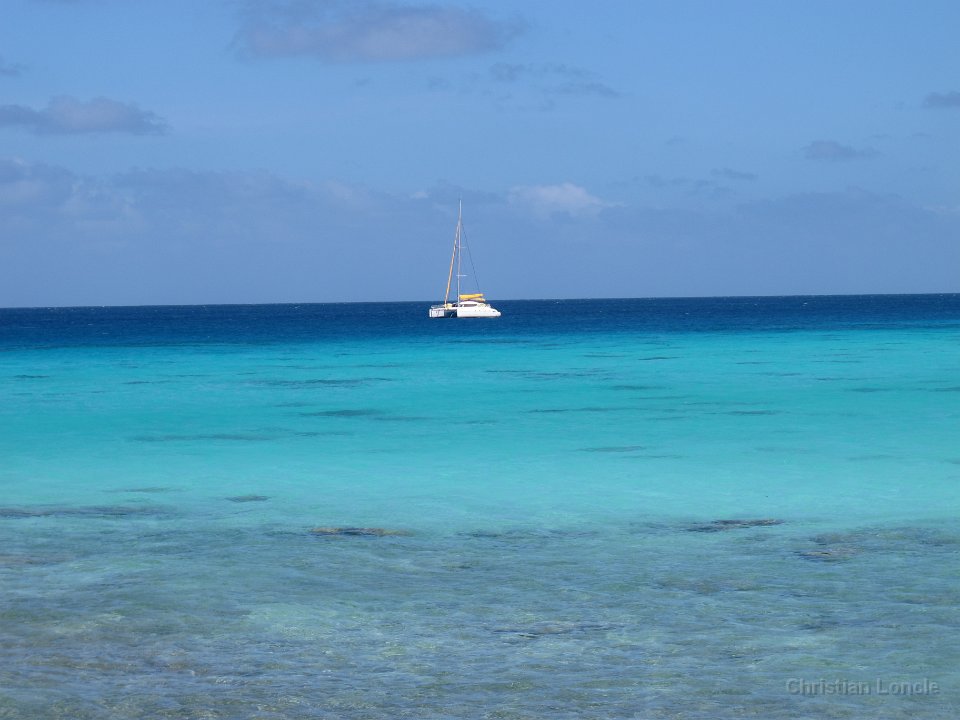 0236 IMG 1947 Rangiroa