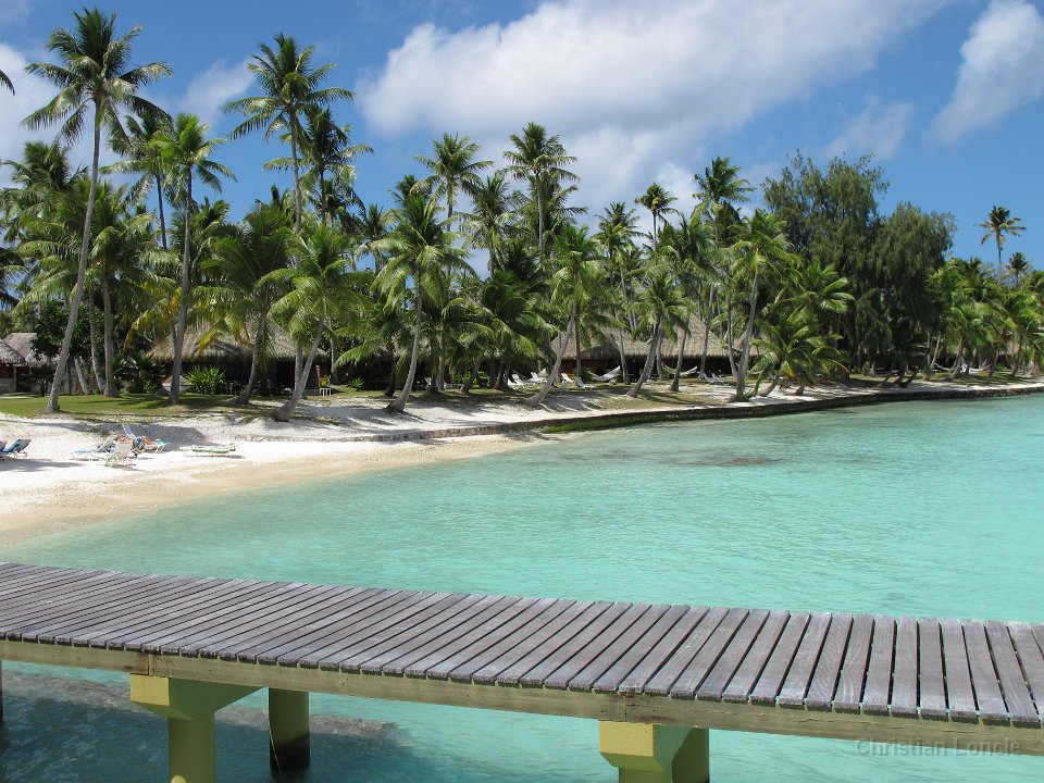 0248 IMG 1961 Rangiroa