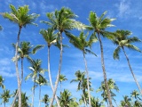 0025_IMG_1693_Rangiroa.JPG