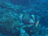 0078_IMG_1759_Rangiroa.JPG
