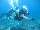 0090_IMG_1782_Rangiroa.JPG