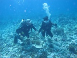 0091_IMG_1784_Rangiroa.JPG