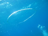 0092_IMG_1786_Rangiroa.JPG