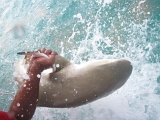 0174_IMG_1904_Rangiroa.JPG