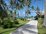 0238_IMG_1949_Rangiroa.JPG