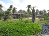 0257_IMG_1974_Rangiroa.JPG