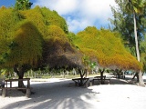 0267_IMG_1984_Rangiroa.JPG